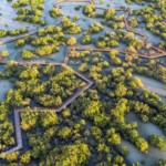 Jubail Mangrove Park_© Jubail Island (5)