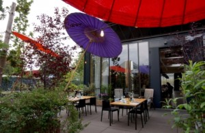 Man sitzt inmitten von Bäumen, großen Kräuterstauden und jeder Menge Blumen und kann ein 5-Gang- Menu genießen.
