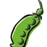 Kaiserschote