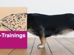 Kompaktlehrgang zum Digital Marketing Manager