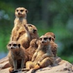 Tagungslocation im Zoo
