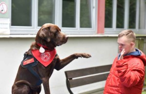 SCHACHZUG unterstützt tiergestützte Therapie im Uniklinikum Erlangen