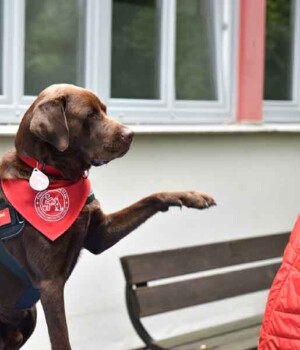Therapiehund Bailey und Fabian_presse.jpg.jpeg