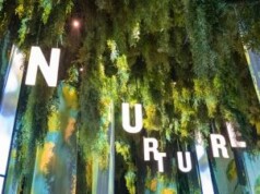 Innenraumbegrünung als Mittel der Live-Kommunikation